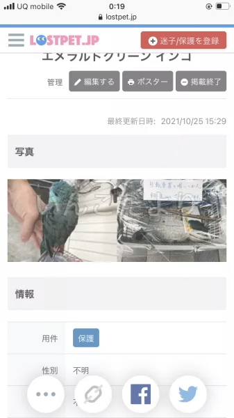 コメントの画像