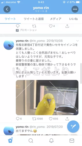 コメントの画像