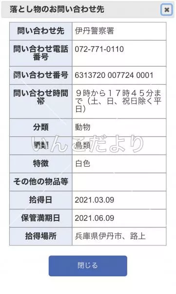 コメントの画像