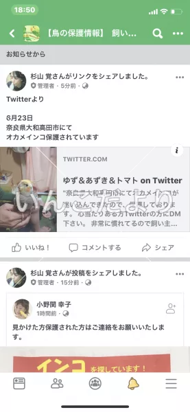 コメントの画像