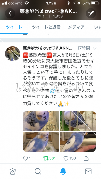コメントの画像