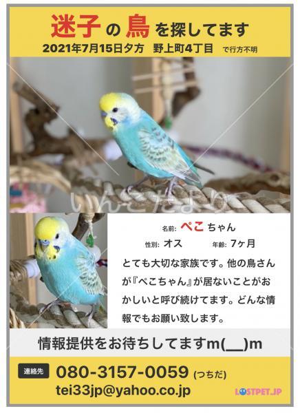 コメントの画像