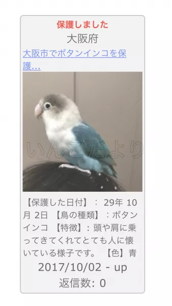 コメントの画像