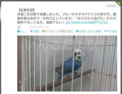 コメントの画像