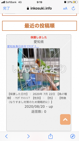 コメントの画像