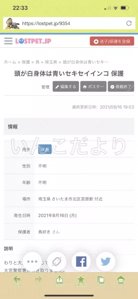 コメントの画像