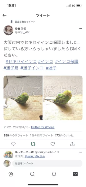 コメントの画像