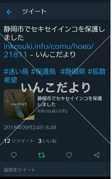 コメントの画像