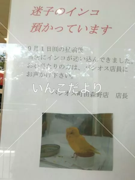 コメントの画像