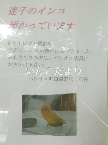 コメントの画像