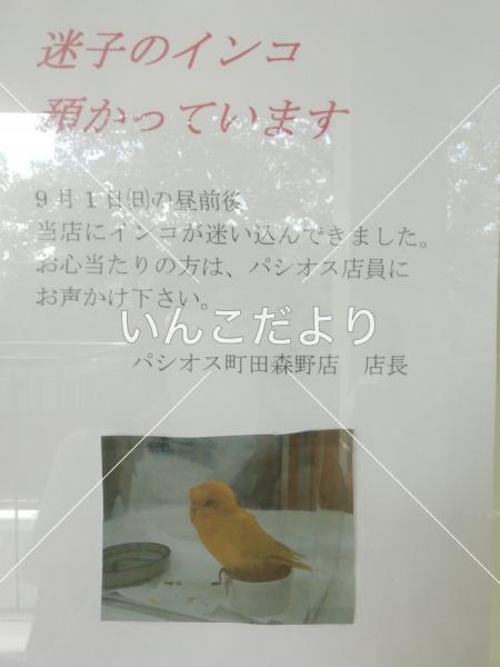 コメントの画像