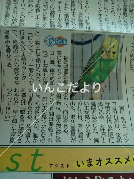 コメントの画像