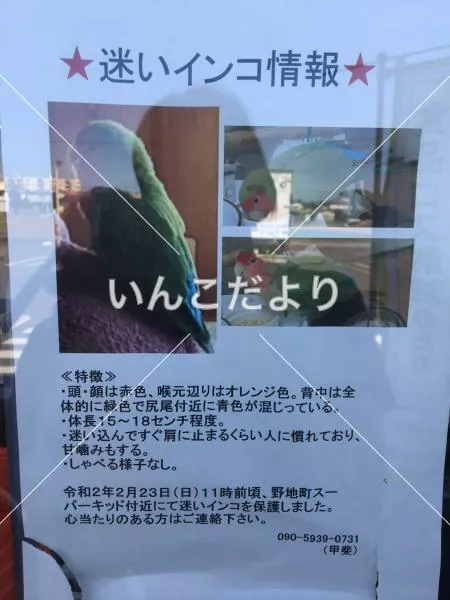 コメントの画像