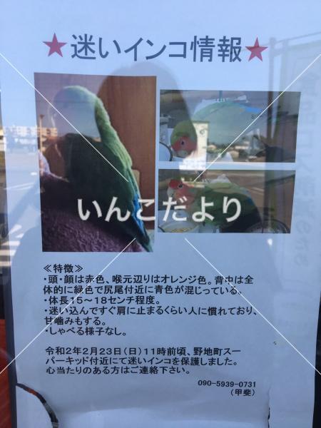 コメントの画像