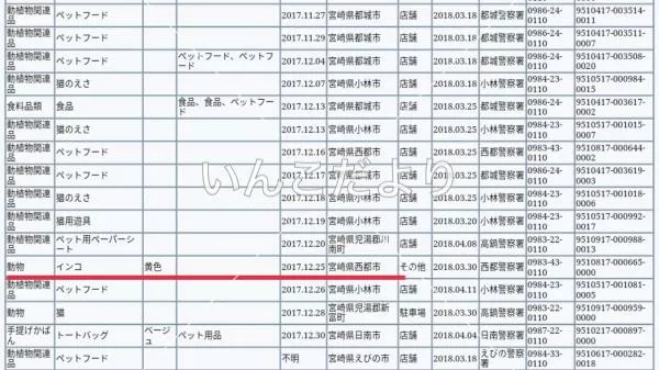 コメントの画像