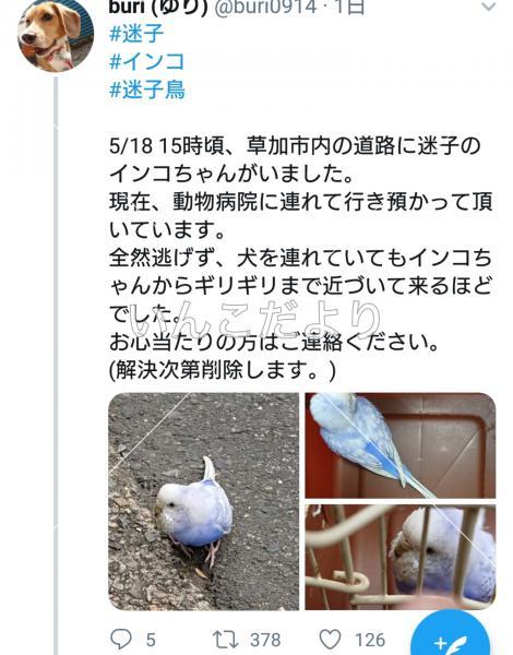 コメントの画像