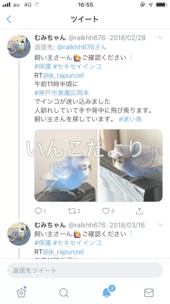 コメントの画像