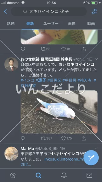 コメントの画像