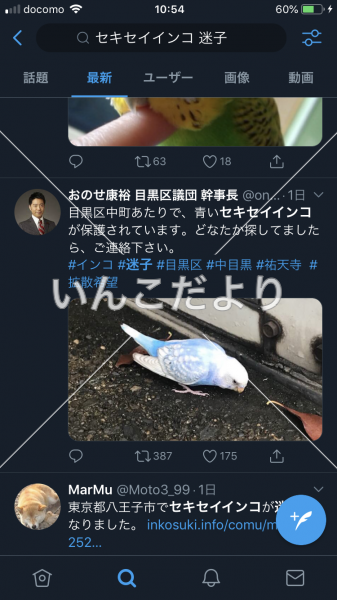 コメントの画像