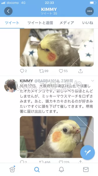 コメントの画像