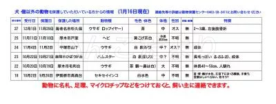 コメントの画像