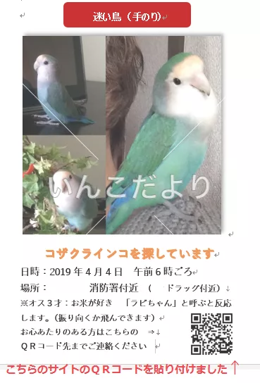 コメントの画像