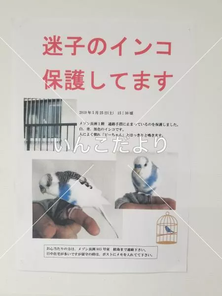 コメントの画像