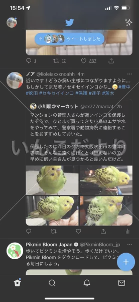 コメントの画像