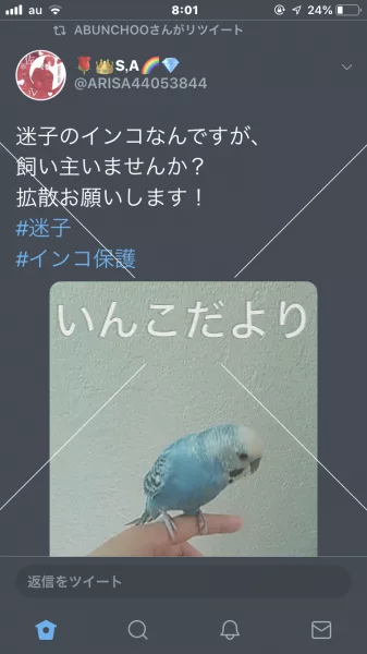 コメントの画像