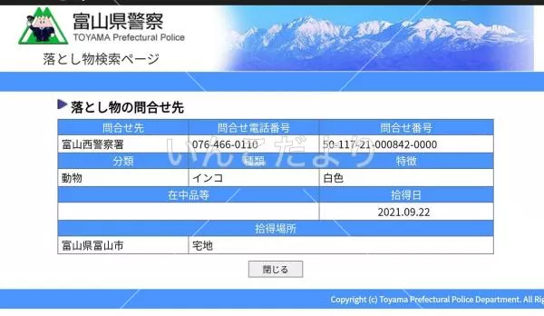 コメントの画像