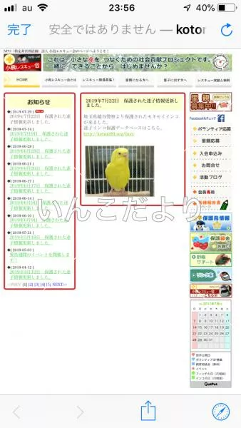 コメントの画像