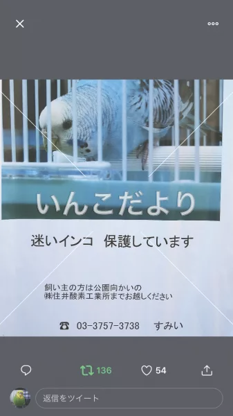 コメントの画像