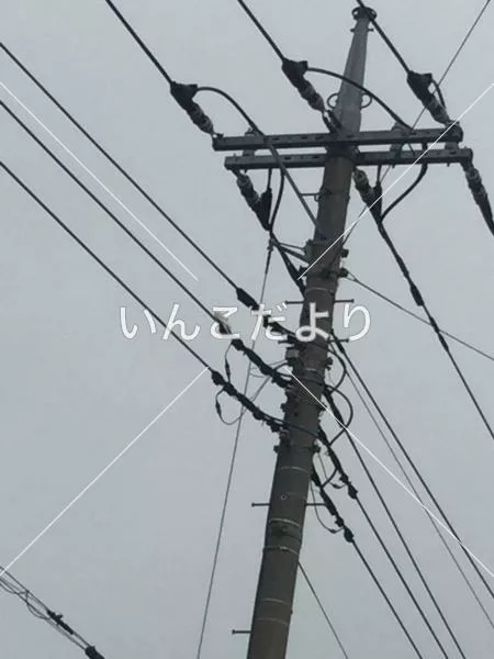 コメントの画像