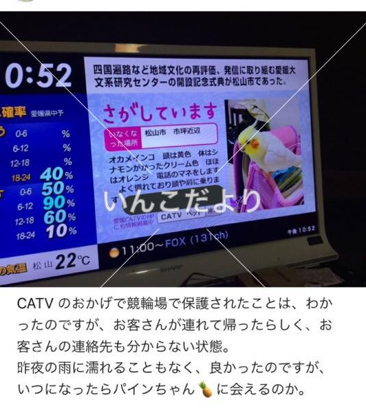 コメントの画像