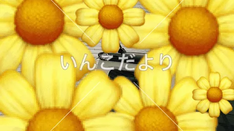 コメントの画像