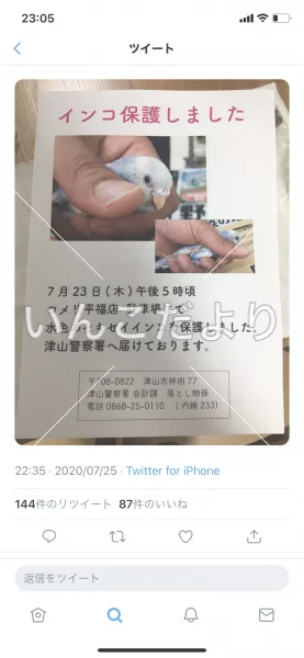 コメントの画像