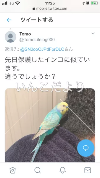 コメントの画像