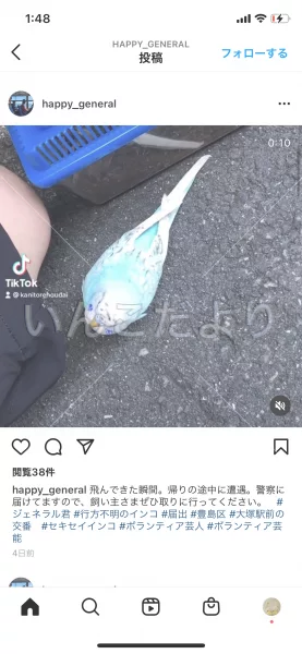 コメントの画像