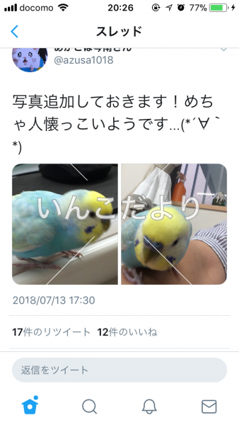 コメントの画像