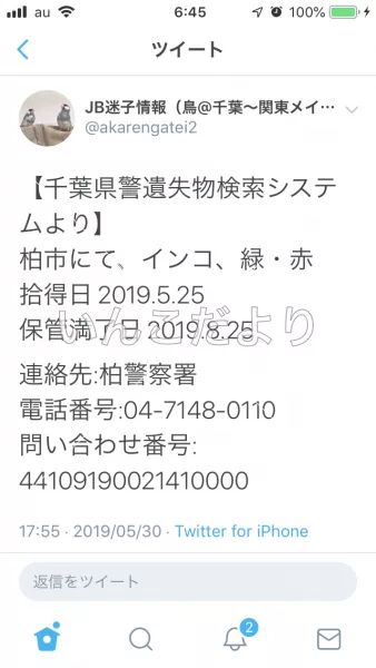 コメントの画像