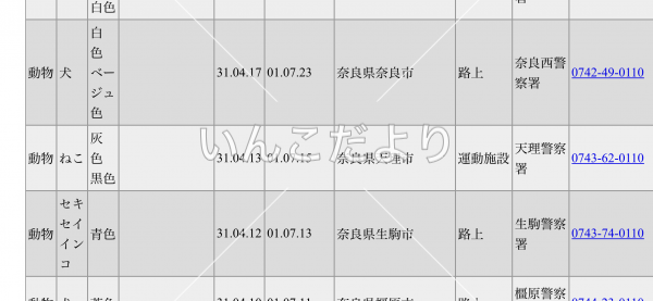 コメントの画像
