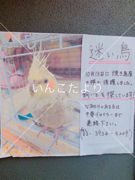 コメントの画像