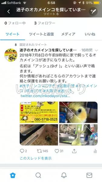 コメントの画像