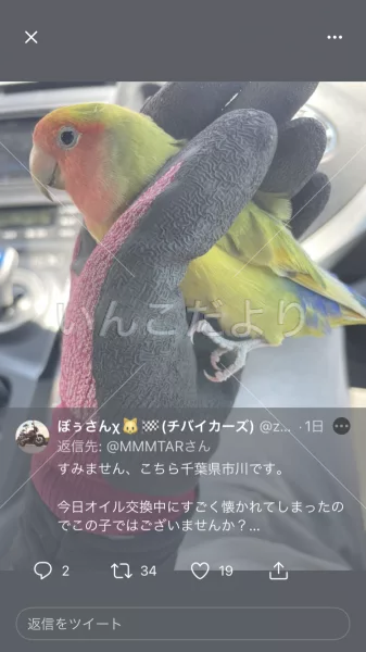 コメントの画像