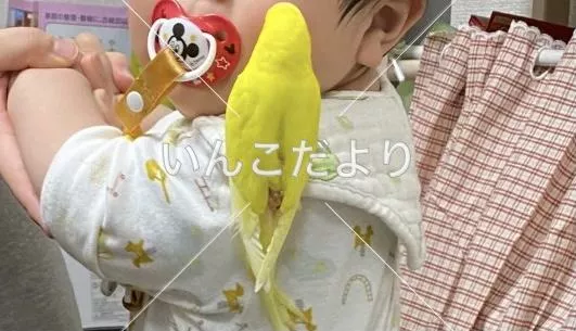 コメントの画像