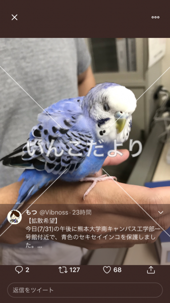 コメントの画像