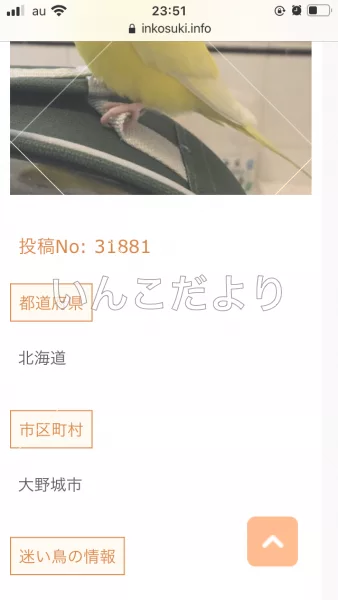 コメントの画像