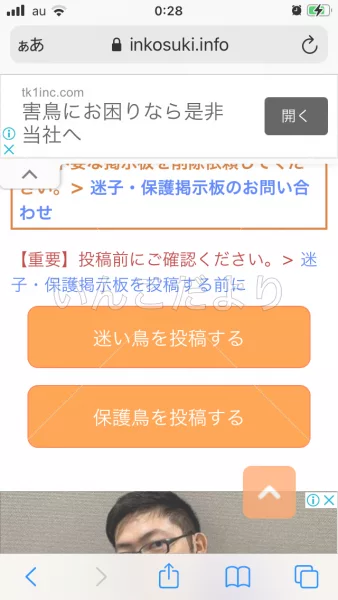 コメントの画像