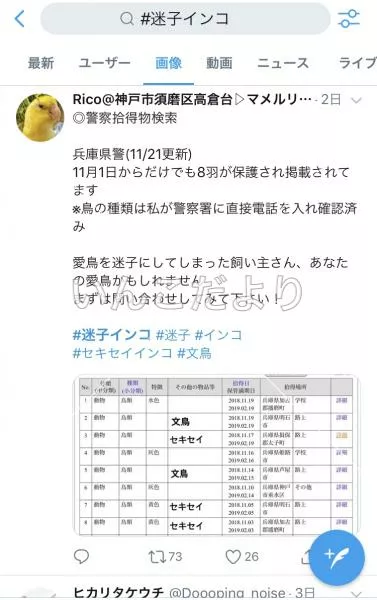 コメントの画像