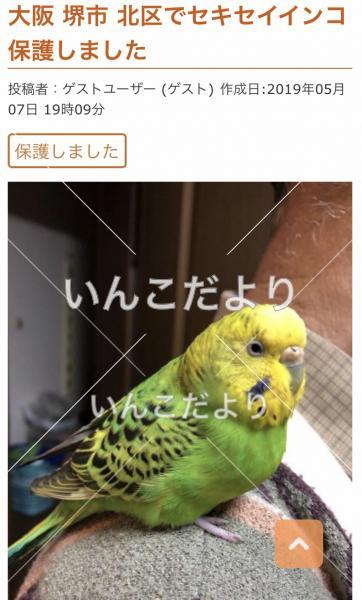 コメントの画像